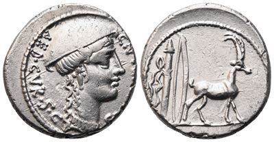 C. Plancius, Denarius, Rome, 55 Bc; Ar (3,89 G; 18 MM; 11 H)