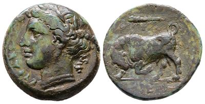 Sicily, Syracuse. Hieron II (275-215 Bc). Æ (20 MM, 5.64 G).