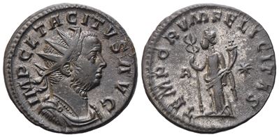 Tacitus (AD 275–276), Antoninianus di Lugdunum (276), Æ argentato