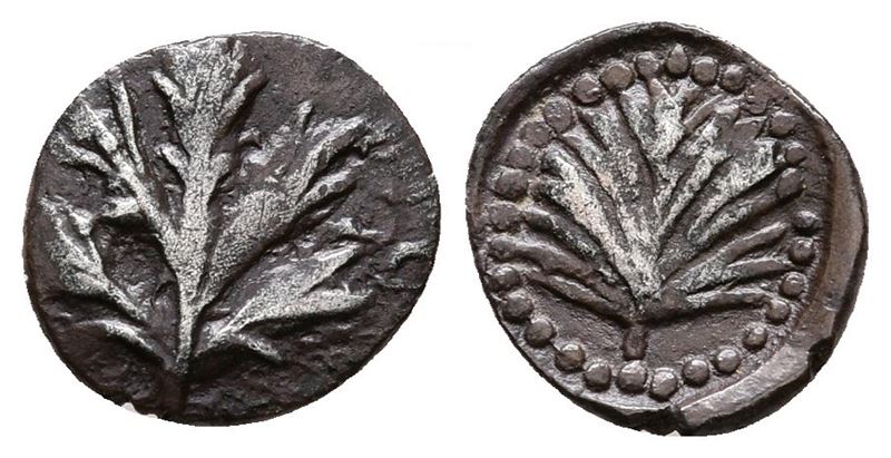 Sicily, Selinos, 515-470 Bc. Ar Obol (10 MM, 0.51 G).
