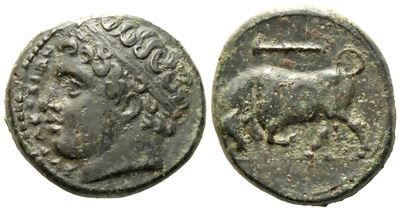 Sicily, Syracuse, Agathokles (317-289 Bc), Æ (5,36 G; 18,2 MM)