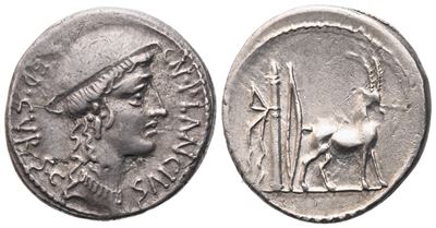 Plancius, Denario, 55 a.C. (testa femminile, causia)