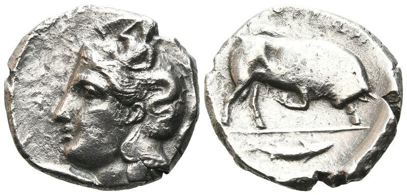 Southern Lucania, Thourioi, C. 400-350 Bc. Ar Stater (21 MM, 7.45 G).