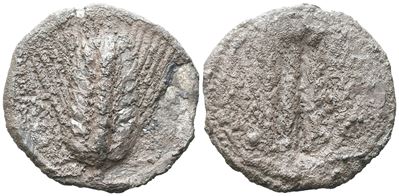 Southern Lucania, Metapontion, C. 540-510 Bc. Ar Stater (30 MM, 9.15 G).