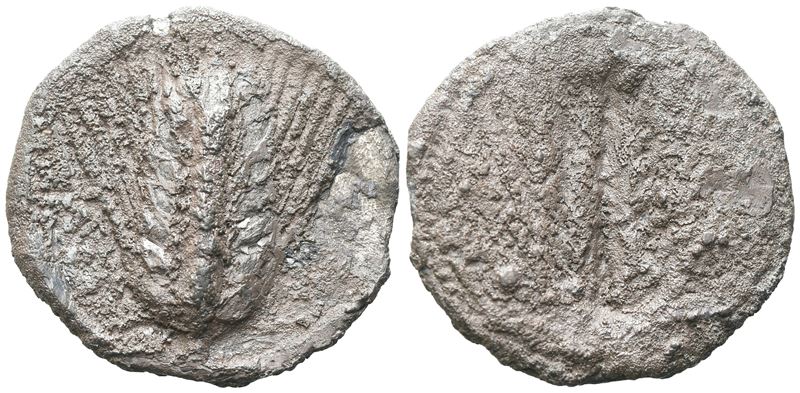 Southern Lucania, Metapontion, C. 540-510 Bc. Ar Stater (30 MM, 9.15 G).