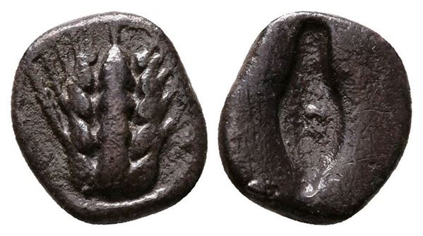 Southern Lucania, Metapontion, c. 470-440 BC. AR Diobol (10mm, 0.79g, 6h).
