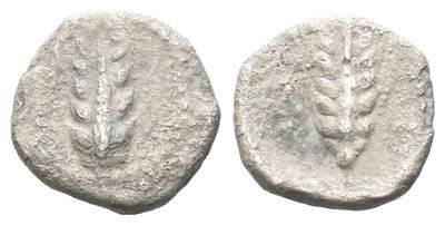 Southern Lucania, Metapontion, C. 440-430 Bc. Ar Obol (9 MM, 0.36 G).