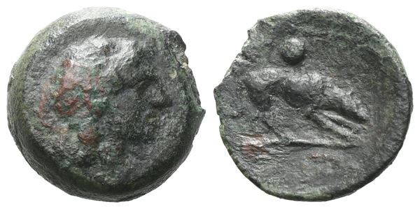Sicily, Segesta, c. 420-416/5 BC. Æ Onkia (12 mm, 1.91 g).  - Auction GREEK & ROMAN PROVINCIAL COINS AND NUMISMATIC LITERATURE Including a wide selection of Alexandrian Coins from the Dattari Collection - Bertolami Fine Art - Prague