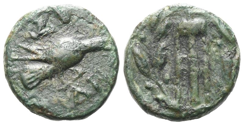 Sikyon (IV/III sec. a.C.), Tetrachalkon in bronzo (225–200 a.C.)