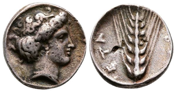 Southern Lucania, Metapontion, c. 5th century BC. Replica of AR coin (18mm, 3.97g).  - Auction Greek, Roman and Byzantine Coins	 - Bertolami Fine Art - Prague