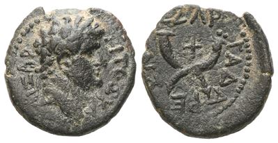 Titus (caesar, 69-79). Decapolis, Gadara. Æ