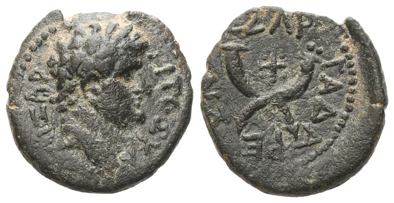 Titus (caesar, 69-79). Decapolis, Gadara. Æ
