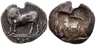Southern Lucania, Sybaris, C. 550-510 Bc. Replica Of Ar Stater (28mm, 6.15g).