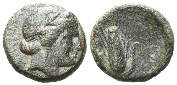 Southern Lucania, Metapontion, c. 300-250 BC. Æ (14 mm, 2.41 g).  - Auction GREEK & ROMAN PROVINCIAL COINS AND NUMISMATIC LITERATURE Including a wide selection of Alexandrian Coins from the Dattari Collection - Bertolami Fine Art - Prague