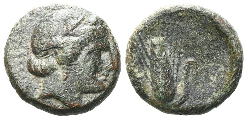 Southern Lucania, Metapontion, C. 300-250 Bc. Æ (14 MM, 2.41 G).