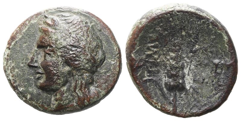 Southern Lucania, Metapontion, C. 300-250 Bc. Æ (15 MM, 3.42 G).