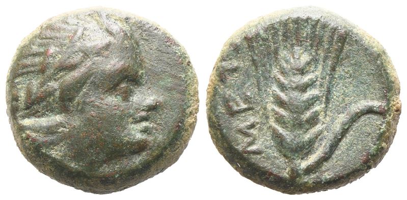 Lucania, Metapontion (C. 300-250 Bc), Æ (1,48 G; 10 MM; 6 H)