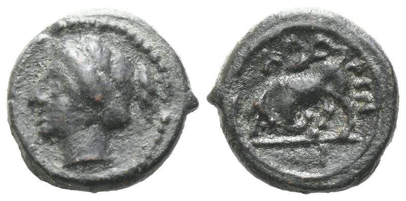 Sicily, Kamarina, C. 339/8-300 Bc. Æ (12 MM, 1.79 G).