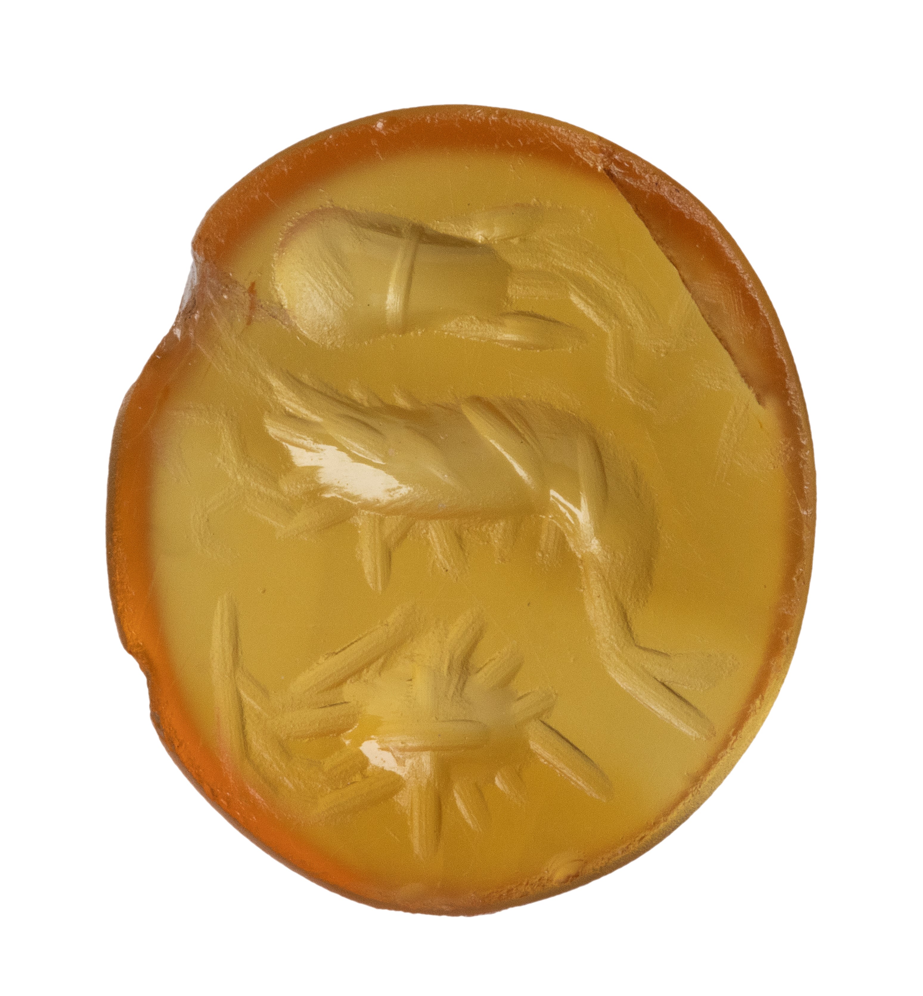 A Roman carnelian intaglio. Sea creatures.