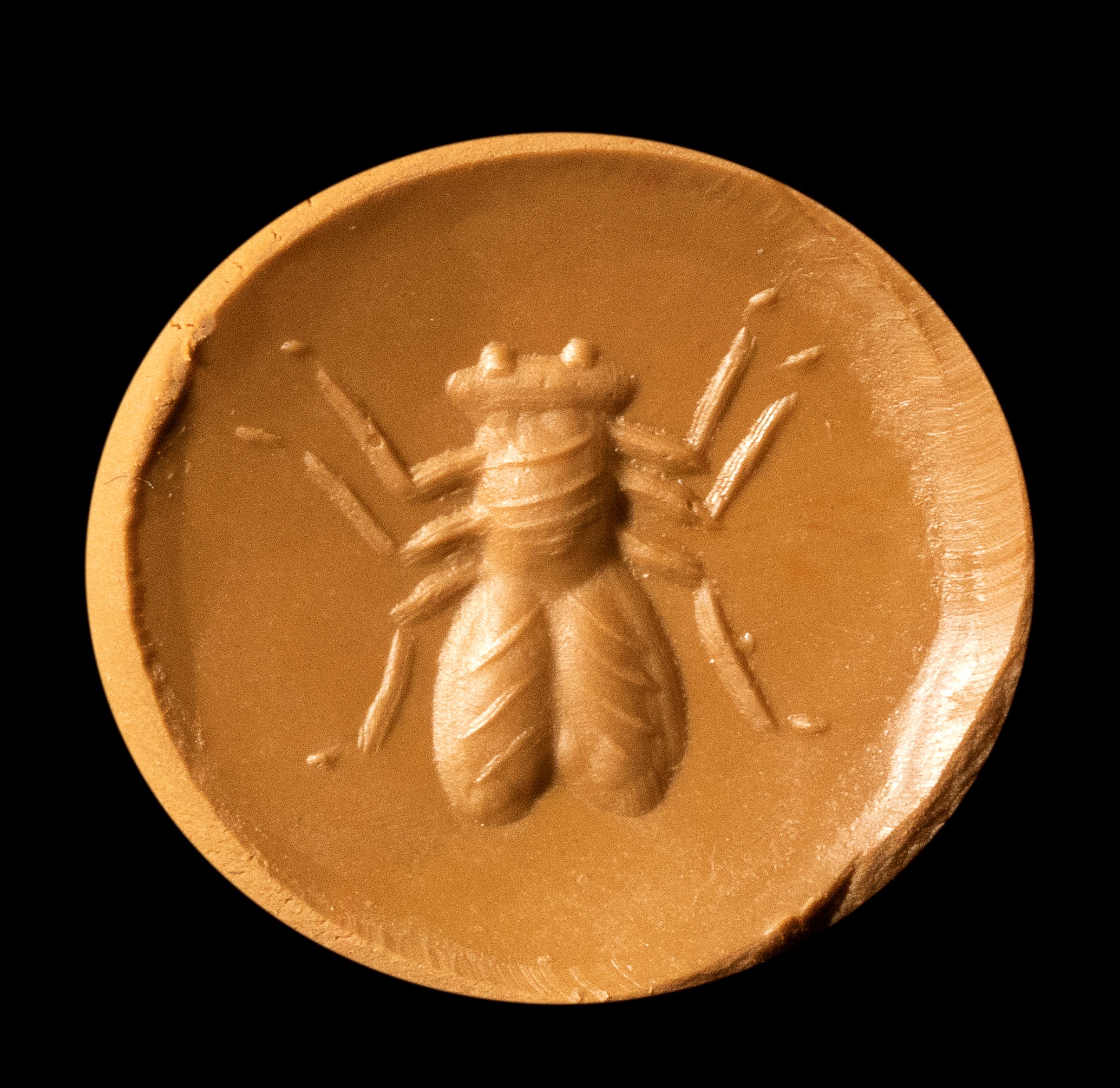 A Roman rock crystal intaglio. Fly.