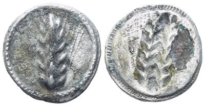Lucania, Metapontion (C. 510-470 Bc), Stater; Ar (6,81 G; 23 MM; 6 H)