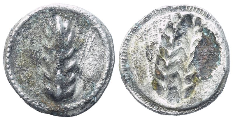 Lucania, Metapontion (C. 510-470 Bc), Stater; Ar (6,81 G; 23 MM; 6 H)