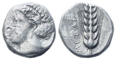 Lucania, Metapontion (C. 400–340), Stater; Ar (7,61 G; 17,6 MM; 2 H)