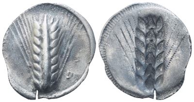 Lucania, Metapontion (C. 540-510 Bc), Stater; Ar (6,15 G; 27 MM; 12 H)