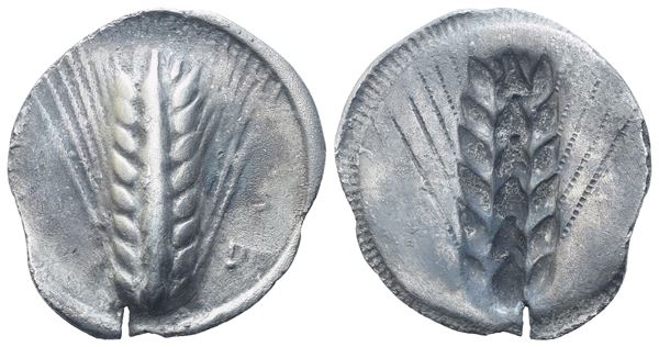 Lucania, Metapontion (c. 540-510 BC), Stater; AR (6,15 g; 27 mm; 12 h)