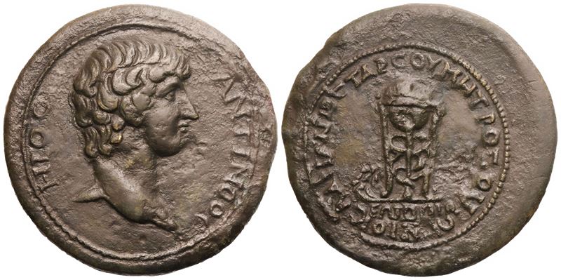 Antinoo, Tarsus (Cilicia) — bronzo, testa nuda verso destra; Tripode con serpente attorcigliato (...