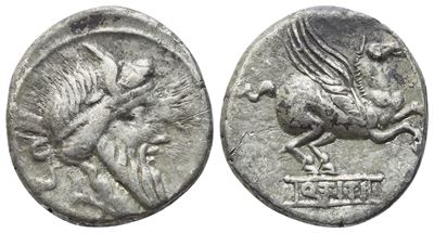 Titius (Q. Titius), Denario romano con capo barbato di Mutinus Titinius e Pegaso