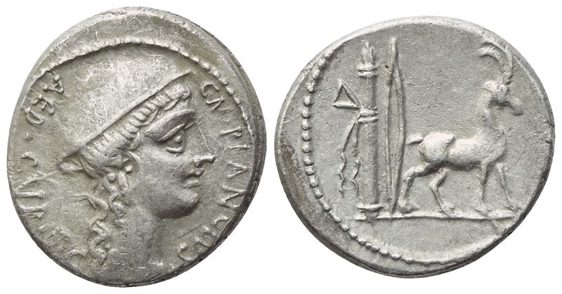 Cn. Plancius, Denario repubblicano romano (AR), Roma, 55 a.C.