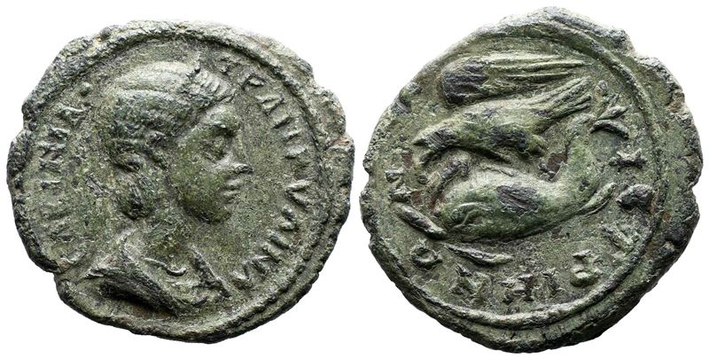 Tranquillina (augusta, 241-244). Moesia Inferior, Istrus. Æ