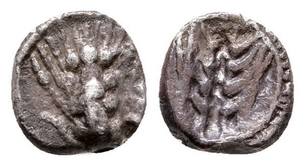 Southern Lucania, Metapontion, c. 540-510 BC. AR Obol (7 mm, 0.43 g).  - Auction Greek, Roman and Byzantine Coins	 - Bertolami Fine Art - Prague