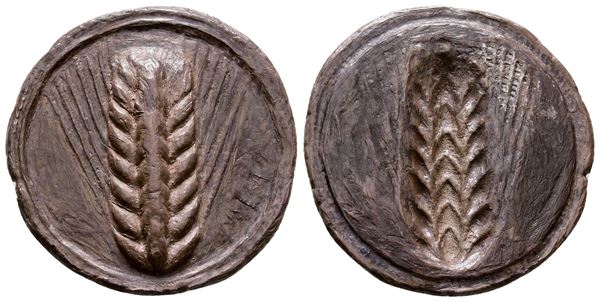 Southern Lucania, Metapontion, c. 540-510 BC. AR Stater (28 mm, 7.66 g).  - Auction Greek, Roman and Byzantine Coins	 - Bertolami Fine Art - Prague