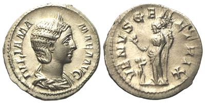 Julia Mamaea, Denarius Struck Under Severus Alexander, Rome, Ad 223; Ar (g 3,31; MM 19,32)