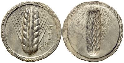 Lucania, Metapontion (C. 515-510 Bc), Nomos; Ar (7,94 G; 27 MM)