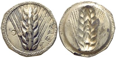 Lucania, Metapontion (C. 510-470 Bc), Nomos; Ar (8,10 G; 24,5 MM)