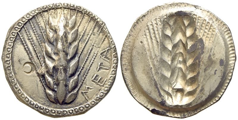 Lucania, Metapontion (C. 510-470 Bc), Nomos; Ar (8,10 G; 24,5 MM)