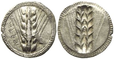 Lucania, Metapontion (C. 510-470 Bc), Nomos; Ar (8,05 G; 23 MM)