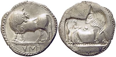 Southern Lucania, Sybaris (C.ca 550-510 Bc), Stater; Ar (8,50 G; 28 MM)