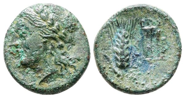 Southern Lucania, Metapontion, c. 300-250 BC. Æ (15mm, 2.55g).