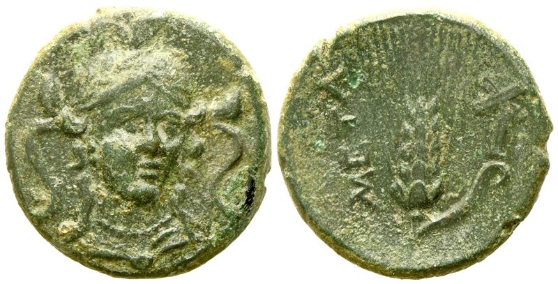 Lucania, Metapontion (C. 300-250 Bc), Æ (3,76 G; 16,5 MM)