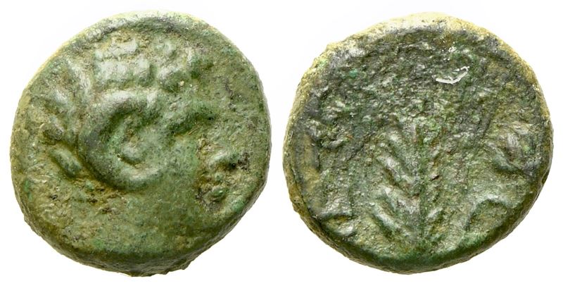 Lucania, Metapontion (C. 300-250 Bc), Æ (1,40 G; 10,2 MM)