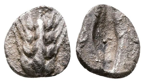 Southern Lucania, Metapontion, c. 470-440 BC. AR Diobol (9mm, 0.61g).