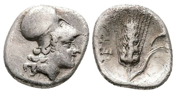 Southern Lucania, Metapontion, c. 325-275 BC. AR Diobol (11mm, 1.12g).
