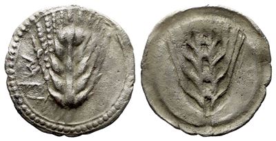 Lucania, Metapontion (540-510 Bc), Obol; Ar (0,41 G; 10,4 MM)