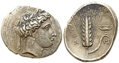 Lucania, Metapontion (C. 340-330 Bc), Nomos, Ar (g 7,90; MM 24)