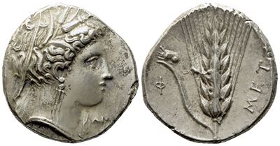 Lucania, Metapontion (C. 340-330 Bc), Nomos; Ar (7,30 G; 21 MM)