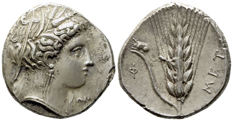 Lucania, Metapontion (C. 340-330 Bc), Nomos; Ar (7,30 G; 21 MM)